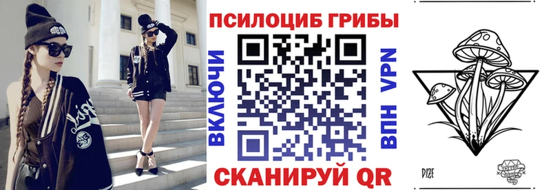 сколько стоит  Судак  Галлюциногенные грибы ЛСД 